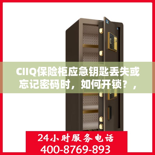 CIIQ保险柜应急钥匙丢失或忘记密码时，如何开锁？，CIIQ保险柜应急解锁指南，钥匙丢失或密码遗忘怎么办？