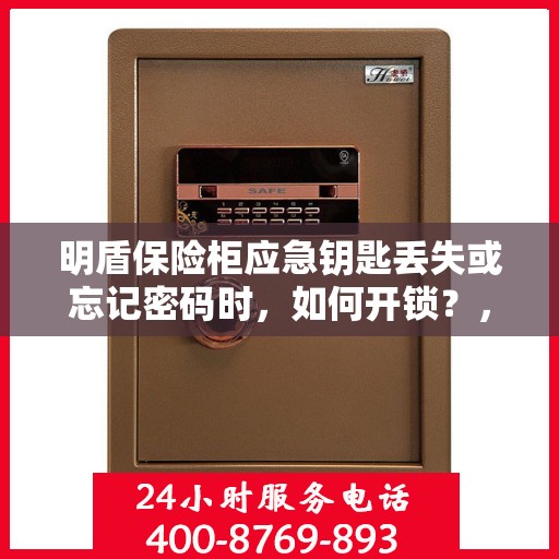 明盾保险柜应急钥匙丢失或忘记密码时，如何开锁？，明盾保险柜应急解锁指南，钥匙丢失或密码遗忘怎么办？